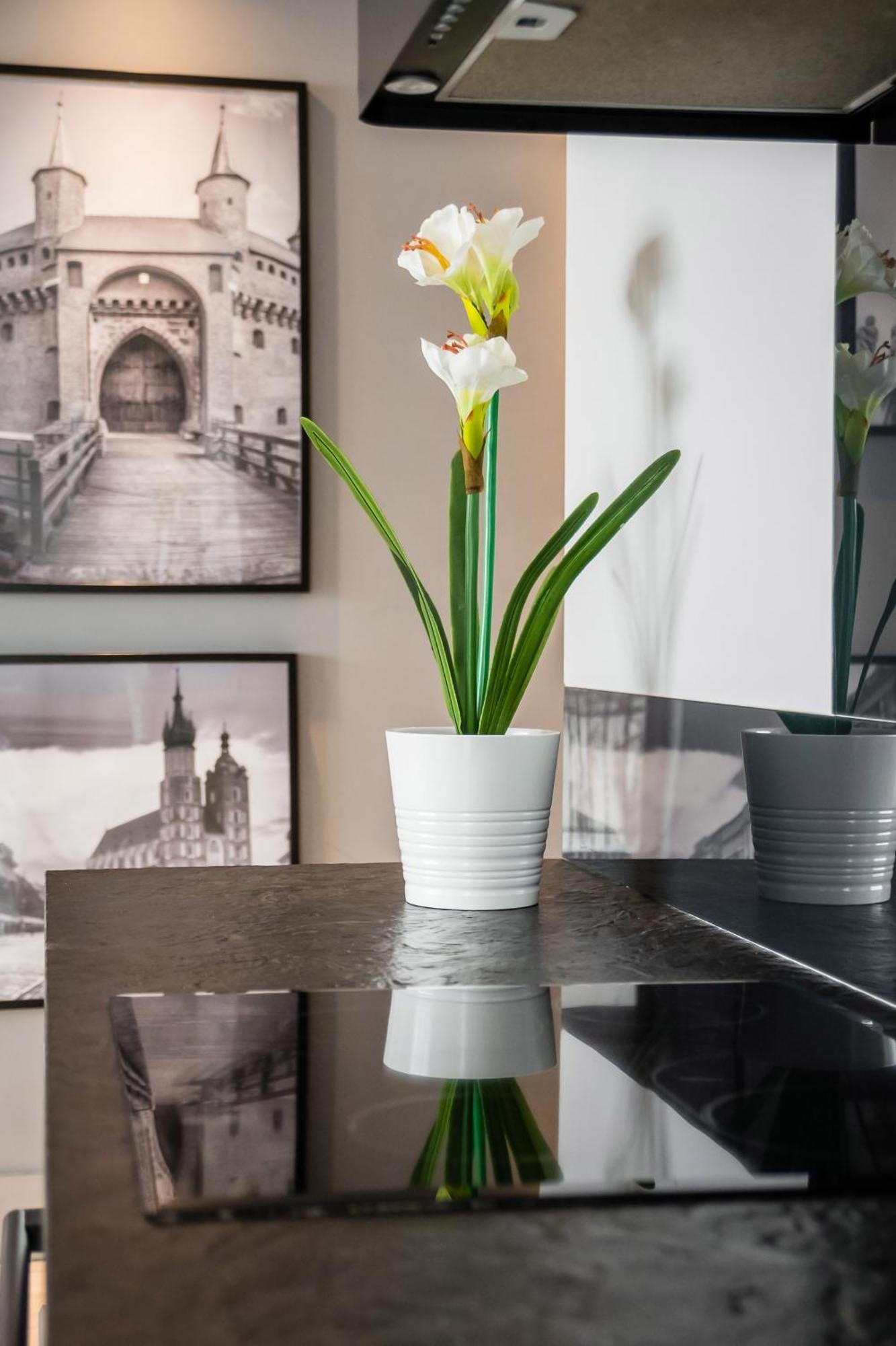 Apartmán Krzyza